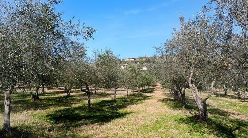 Casale San Pietro Bed & Breakfast Anagni Exterior photo